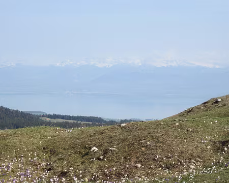 PXL009 Dans cette perspective, le Léman précède les Alpes.