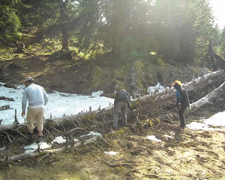 PXL011 A la cueillette du petit bois!