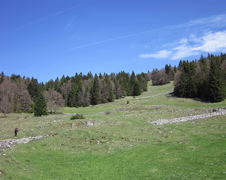 PXL028 Sur le chemin de la Dent de Vaulion
