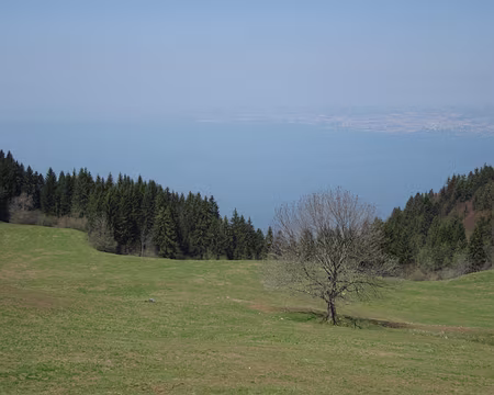 PXL063 Le Lac Léman et Lausanne