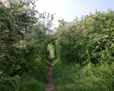 PXL002 Discrétion du petit chemin