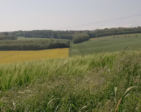 PXL021 Echantillon de paysage