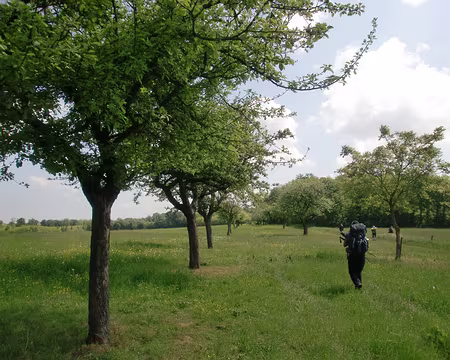 PXL032 L'Yonne des vergers