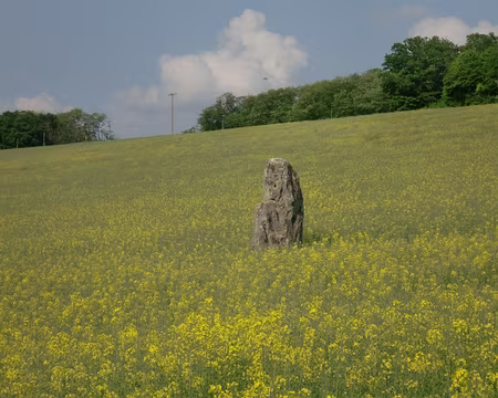 PXL046 LE menhir