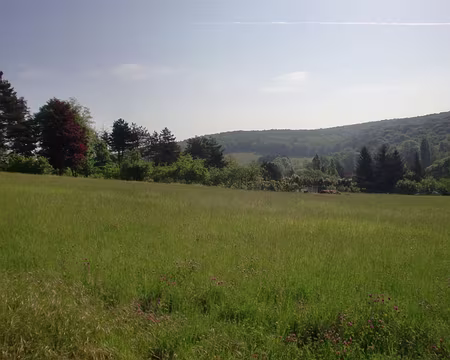 PXL056 La campagne à nouveau