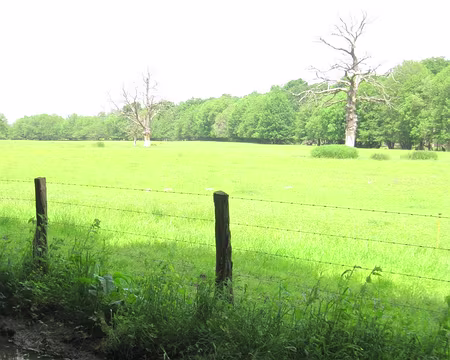 PXL047 Vous avez dit... sécheresse ??