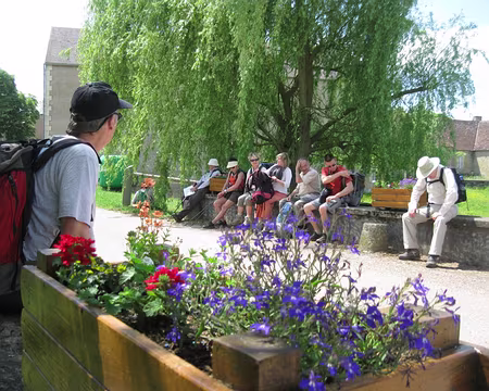PXL052 Arrêt sous la fraîcheur d'un saule à Sardy-lès-Epiry