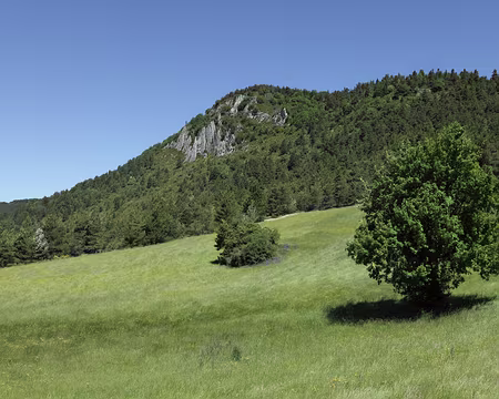 IMG_5413 Pré balayé par le vent