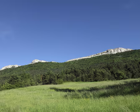 IMG_5576 La Montagne de Tarsimoure