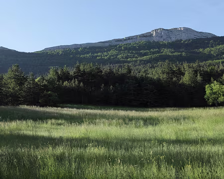 IMG_5590 La Montagne de Tarsimoure