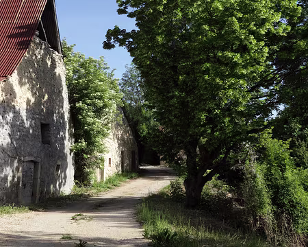 IMG_5597 Lieu dit « Les Chitons »