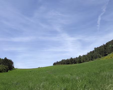 IMG_5654 Col de Povois ou col de Beaumont
