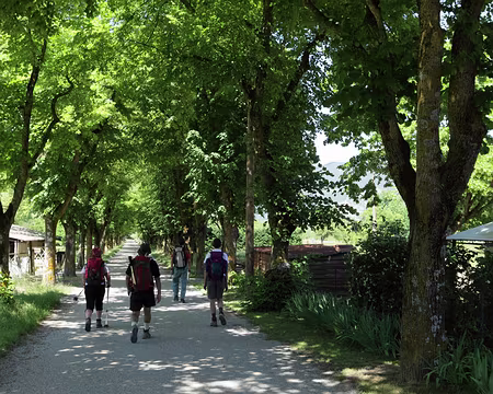 IMG_5702 Un air de Provence