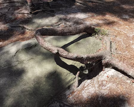 IMG_4288 Piège à randonneur, ou indice d'une érosion importante ?