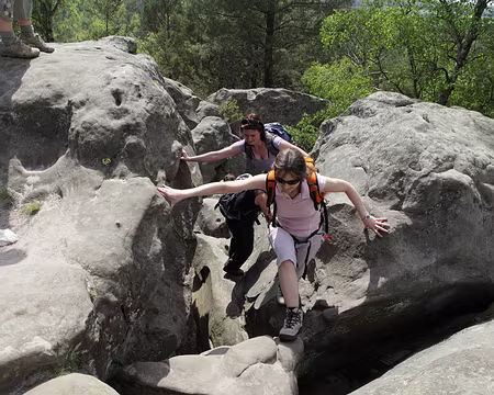 IMG_4366z964 Un peu d'équilibre est nécessaire