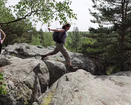 IMG_4374 En plein vol !