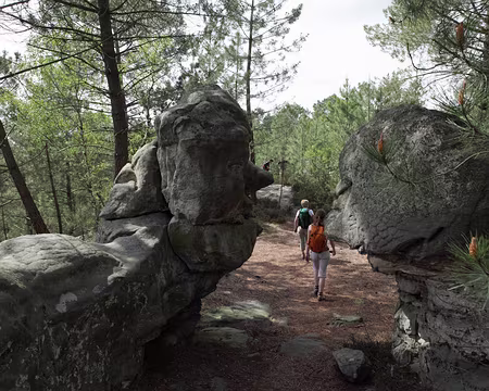 IMG_4377 Silence, ne troublons pas cette conversation silencieuse