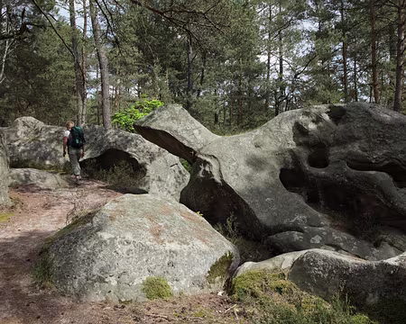 IMG_4380 Hé, pas si vite, je n'arriverai jamais à te rattraper !