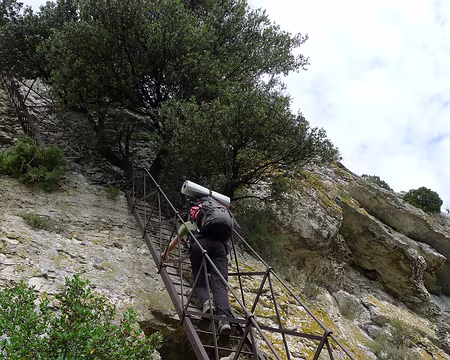 003 On attaque immédiatement les choses sérieuses (vue d'en bas).