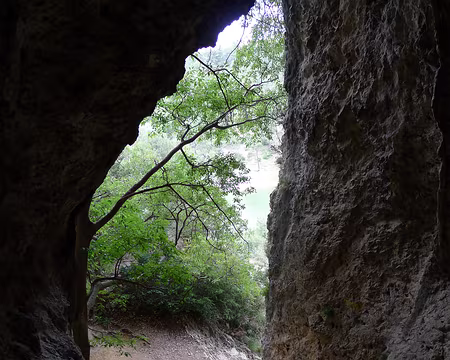 012 Gigantesque baume débouchant...