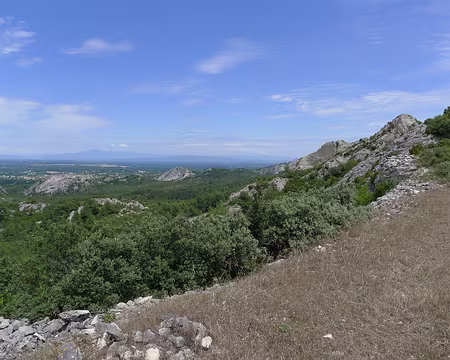 014 Le long de la crête nord-ouest des Alpilles.