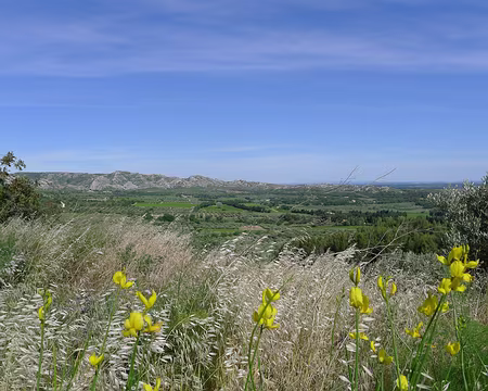 022 En contre-bas des Baux-de-Provence.