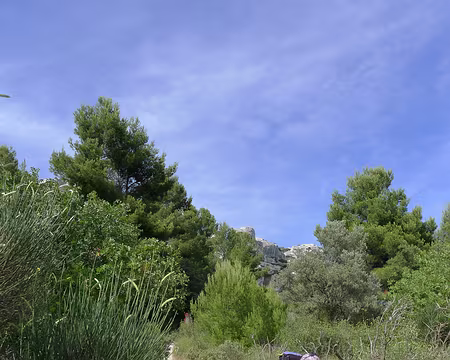 023 En allant vers Maussane, un peu à l'écart du massif.