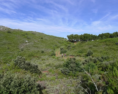 031 Dans le Vallon Rouge.