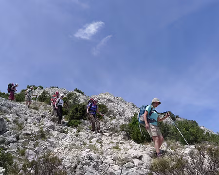 042 Le long de la crête nord des Alpilles (GR6) : succession de petites montées et descentes.