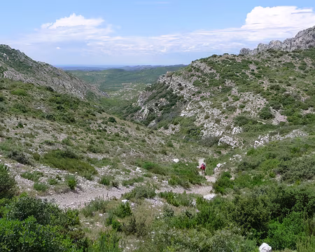 057 A travers la garrigue.