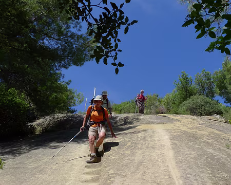 079 Marches (maintenant bien usées) taillées dans le grès.