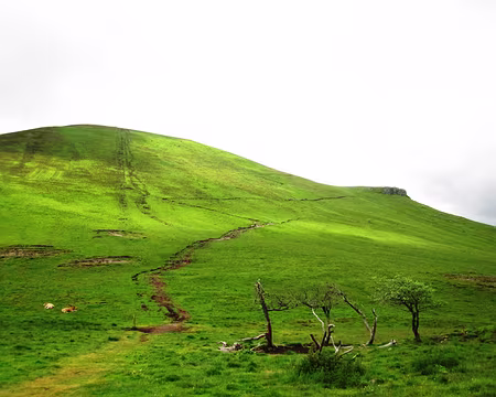 23 Ascension du Puy de la Tâche