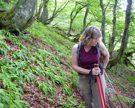 PXL027 C'était dans la fiche technique tout cela ?