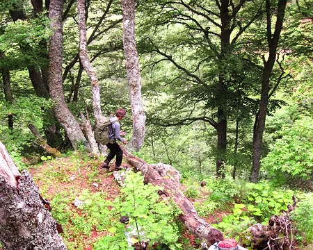 ff Parcours hors-sentier... indiana jones spirit!!