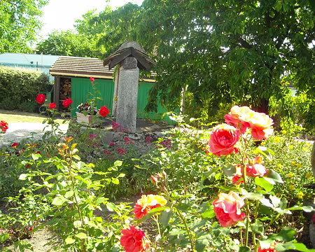 PXL000 Accueil dans le jardin enchanté de Claude Ramier: roses et cerisier
