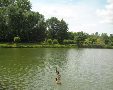 PXL006 Ca y est : il se sont enfin décidés!