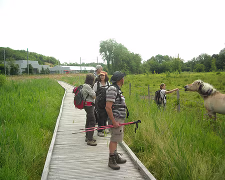 PXL008 à travers les marais