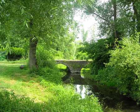PXL011 charmant petit pont de pierre