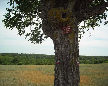 PXL015 est-ce le balisage de Claude?