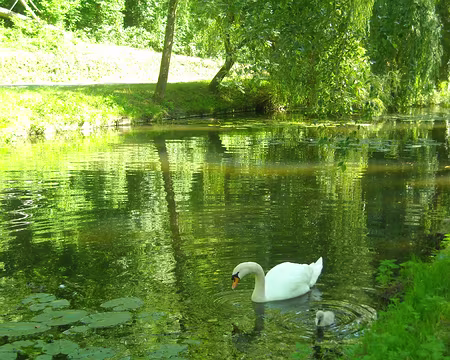 PXL024 attendrisssant!