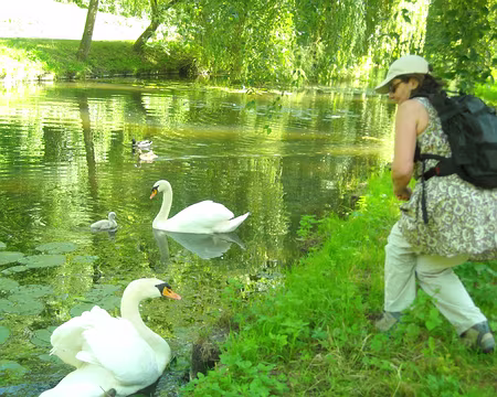 PXL026 Mais que les téméraires se méfient!