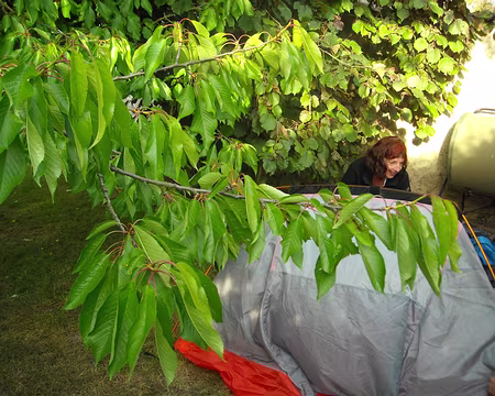 PXL028 Retour chez Claude, pendant que certaines montent les tentes sous les cerisiers...