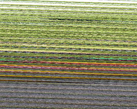 PXL048 bretagne_25202011_2520029_255b1_255d.jpg