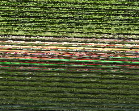 PXL051 bientôt rejointe par les binômes