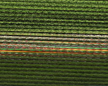 PXL054 Ça y est : l'équipage est au complet et prêt à ramer ; enfin pour l'instant c'est facile, on fait du surplace!