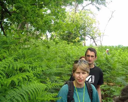 PXL072 Après l'Amazonie, la savane.Ouh la la cette Françoise qui nous avait promis une rando relaxe; après la gym des bras, celle des jambes!
