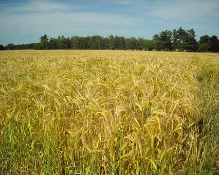 PXL073 Retour chez Claude par une belle fin d'après-midi!
