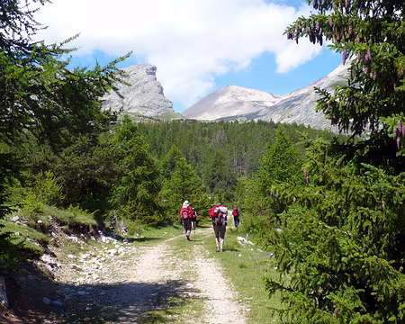PXL008 Montée vers le col du Charnier