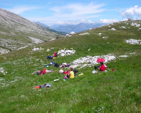 PXL011 Sans commentaire