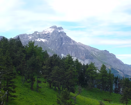 PXL036 A l'alpage de Courtet